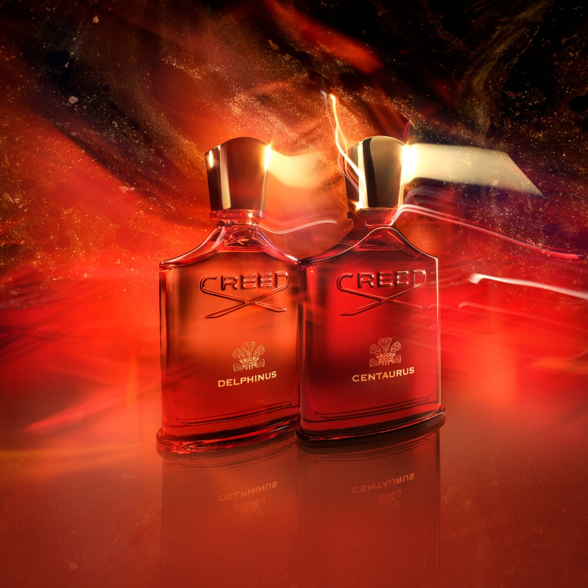 Centaurus 50ml