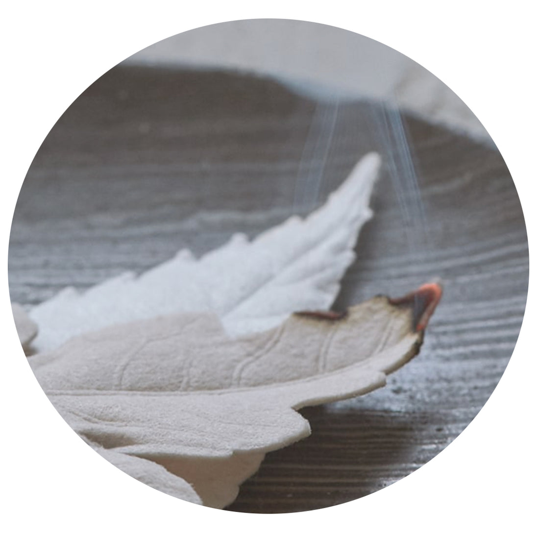 HA KO Paper Incense - No. 3 Elegant Citrus